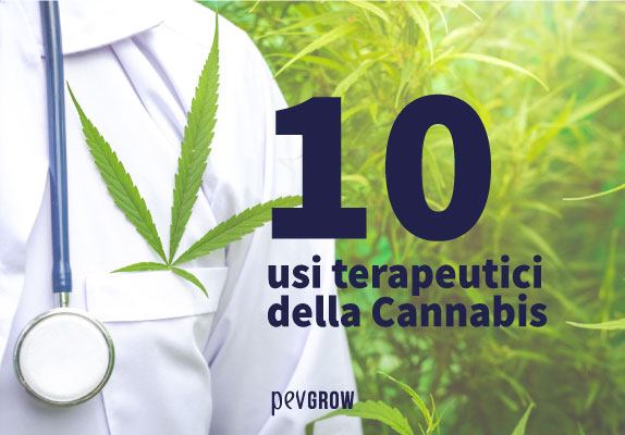 Questi sono i 10 usi terapeutici della Cannabis che devi conoscere