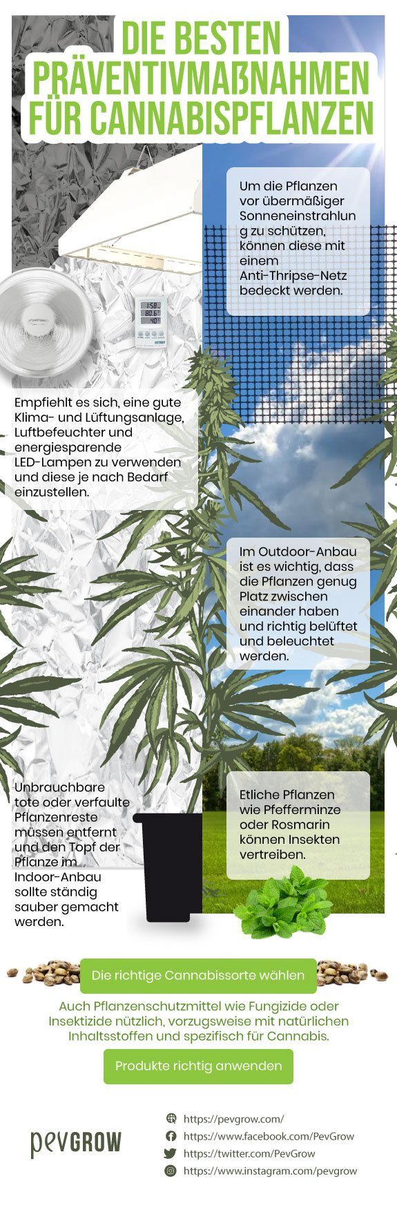 Die 5 besten Präventivmaßnahmen für Cannabispflanzen