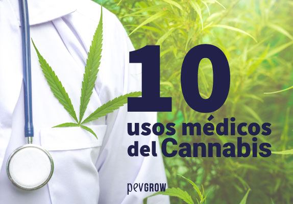 10 usos médicos del Cannabis que tienes que conocer