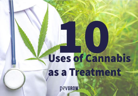 These are the 10 medical uses of Cannabis that you need to know