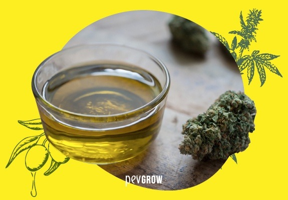 Imagen de un cuenco de cristal con aceite de oliva cannabico y un cogollo de cannabis al lado