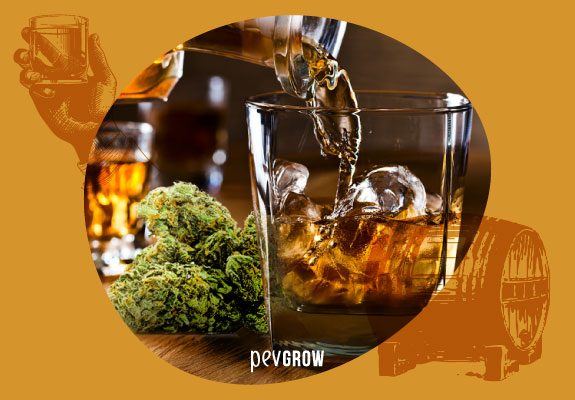 Gießen von Cannabis-Whisky in ein Glas mit einer Knospe auf dem Beistelltisch