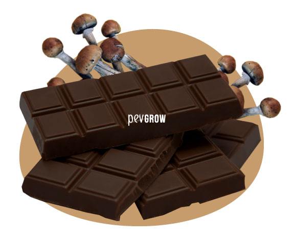 Image de chocolat et champignons magiques