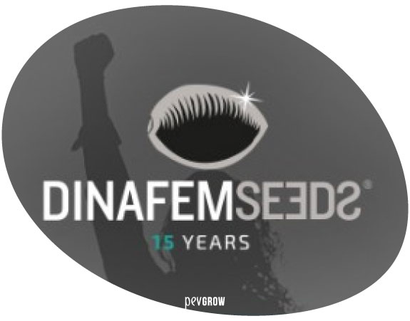 Immagine del logo Dinafem nella sua campagna per il 15 ° anniversario