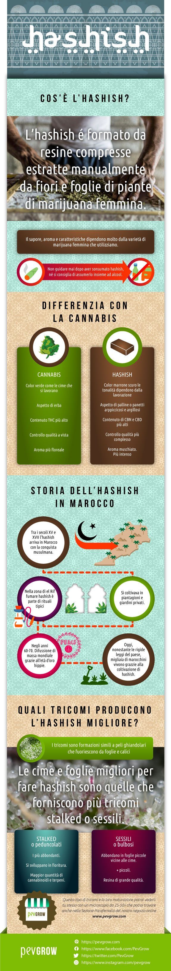 Infografica sull'hashish
