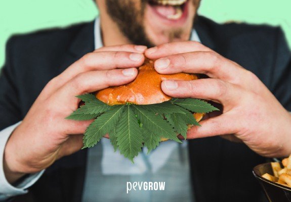 Imagen de un hombre con un bocadillo de hojas de marihuana en la mano
