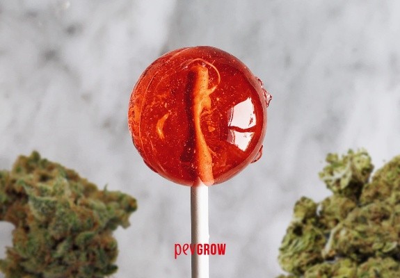 Image of a lollipop surrounded by buds