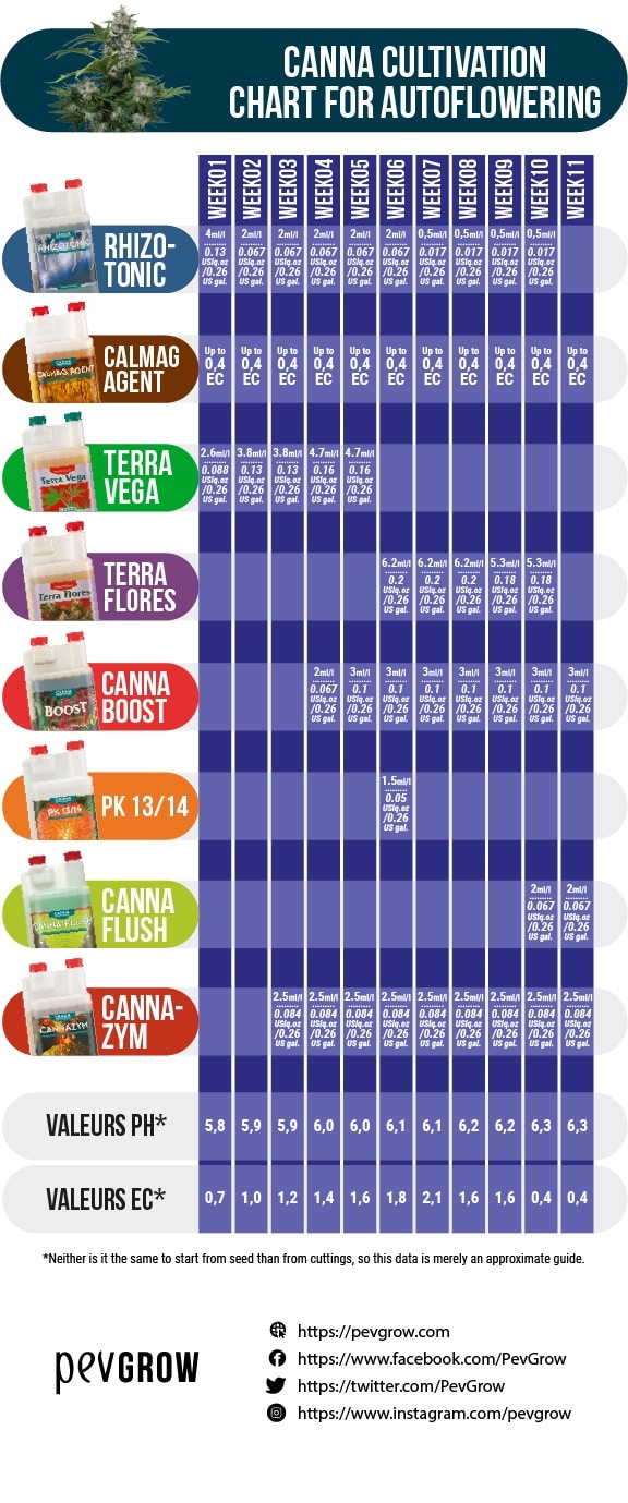 Dosage table of Canna products for growing auto-flowering cannabis plants and ideal pH and EC values