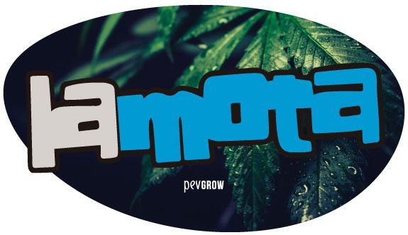 Imagen del logo de Lamota*
