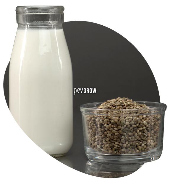 Food is made with hemp seeds, in this image milk