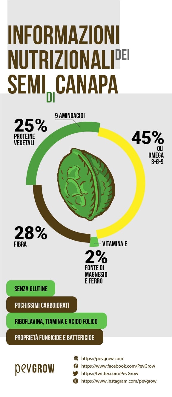 Immagine percentuale dei nutrienti nei semi di canapa