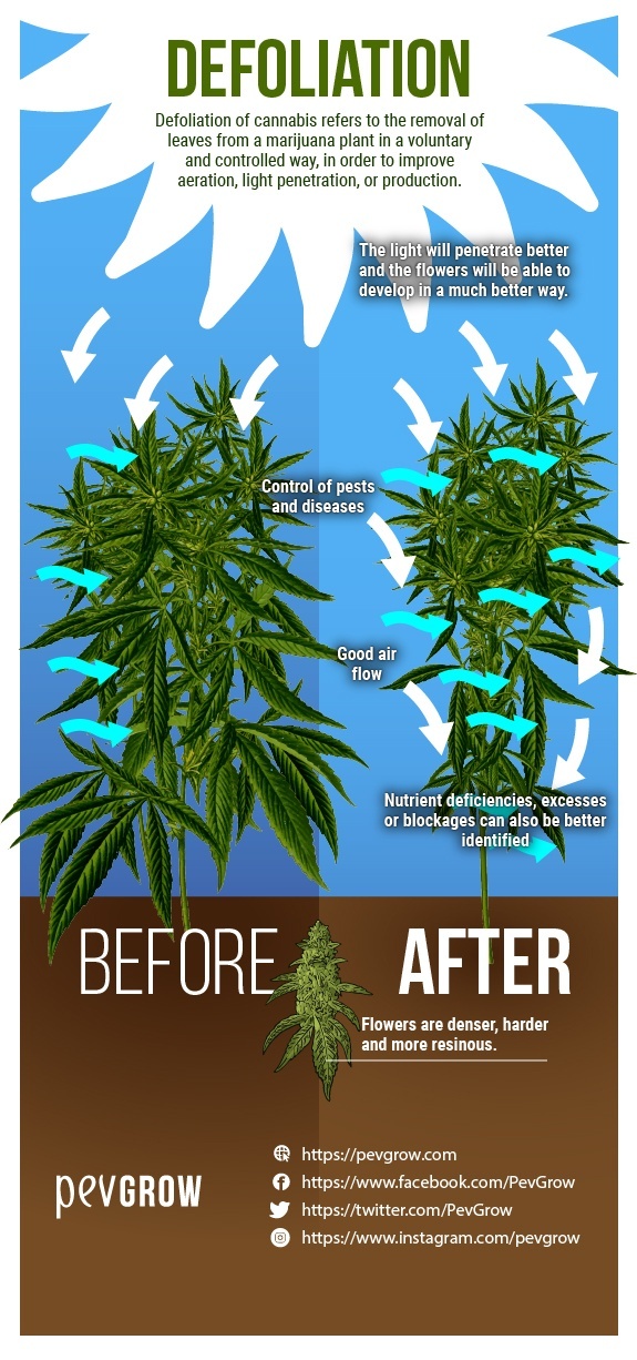 Illustration explaining benefits of extreme defoliation