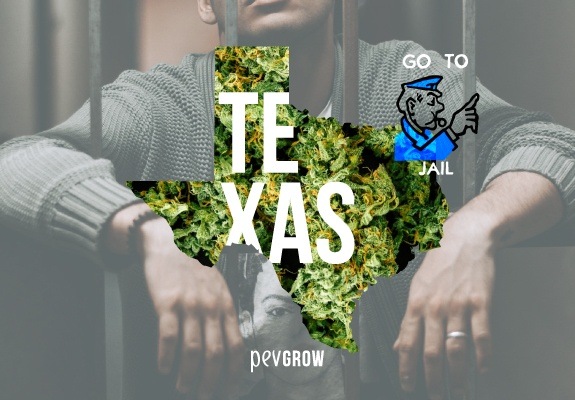 Map of Texas with a background of marijuana plants.
