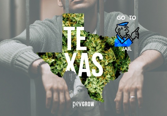 Leyes cannábicas en Texas ¿Qué se puede y qué no se puede hacer?