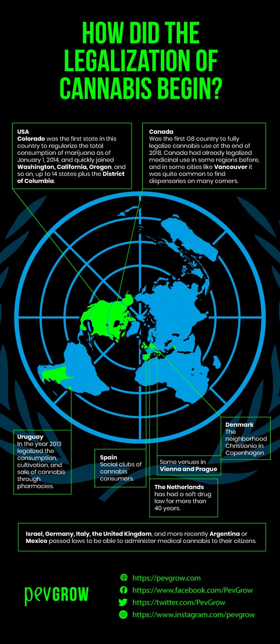 Infographic of How cannabis legalisation began