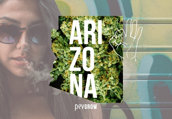 Mapa de Arizona con un fondo de plantas de marihuana