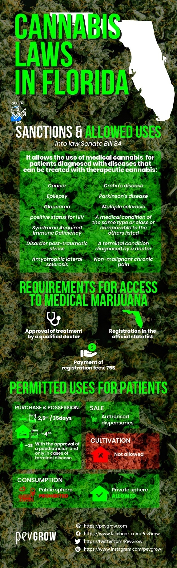 Florida cannabis laws -sanctions and permitted uses-.