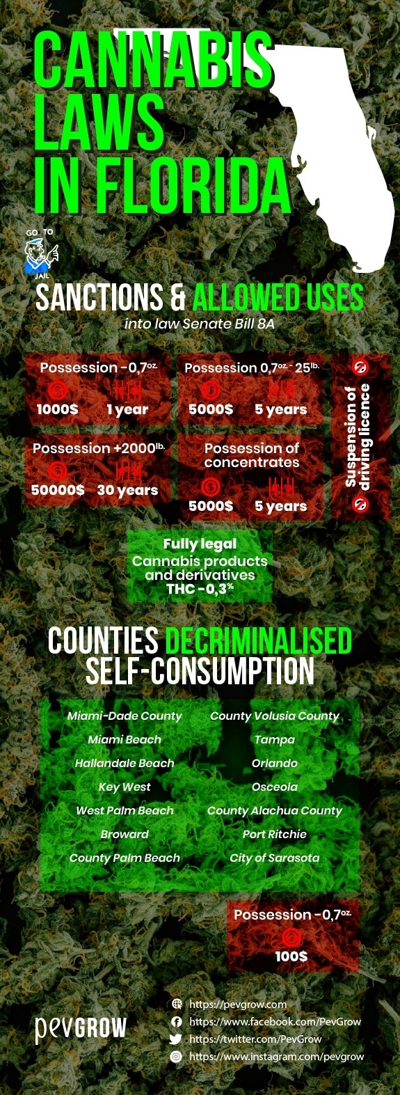 Florida cannabis laws -sanctions and permitted uses-.