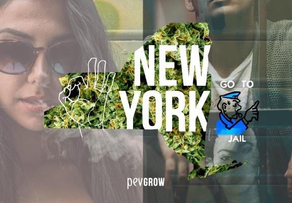 Mapa de Nueva York con un fondo de plantas de marihuana