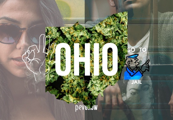 Map of Ohio with a background of marijuana plants.