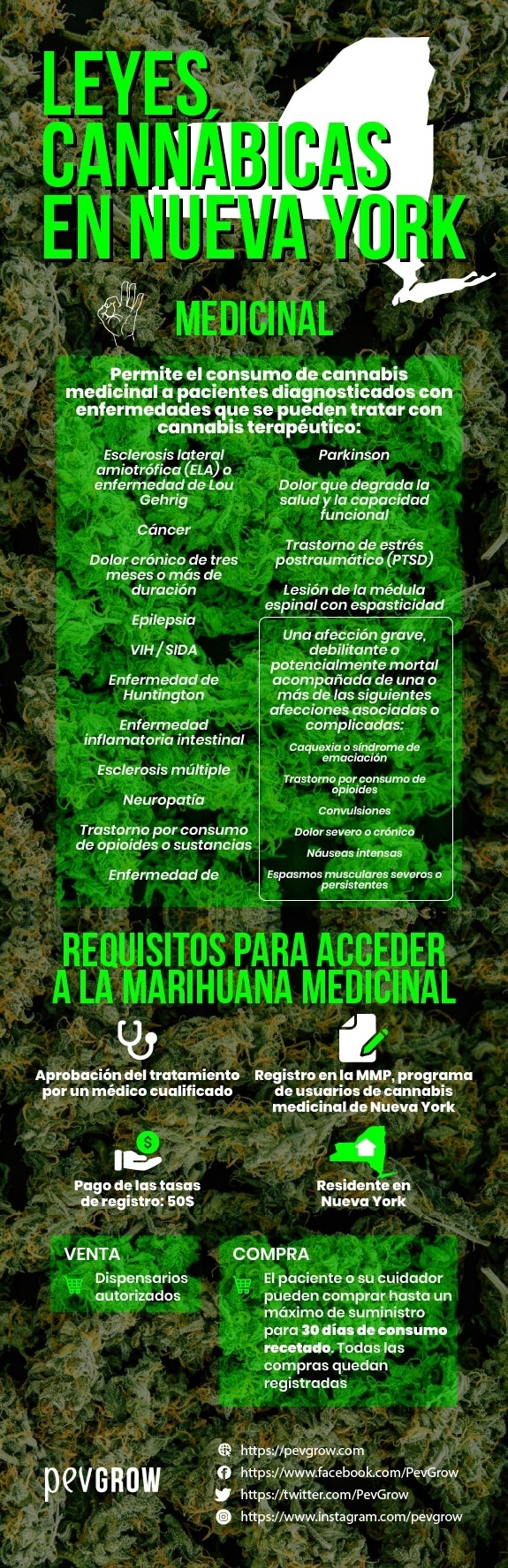 Requisitos para acceder a la marihuana medicinal y casos en que se permite su uso.