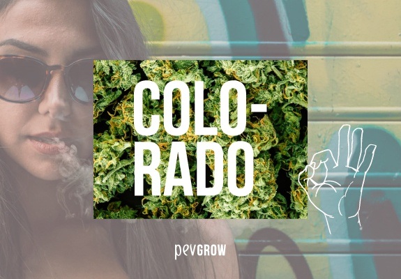 Colorado con un fondo de plantas de marihuana