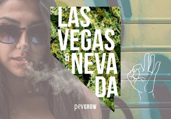 Map of Nevada with a background of marijuana plants