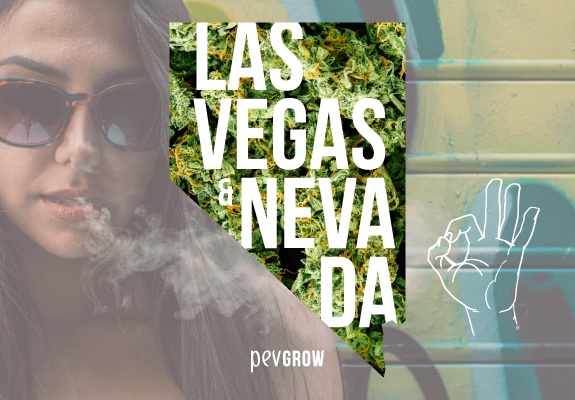 Map of Nevada with a background of marijuana plants 