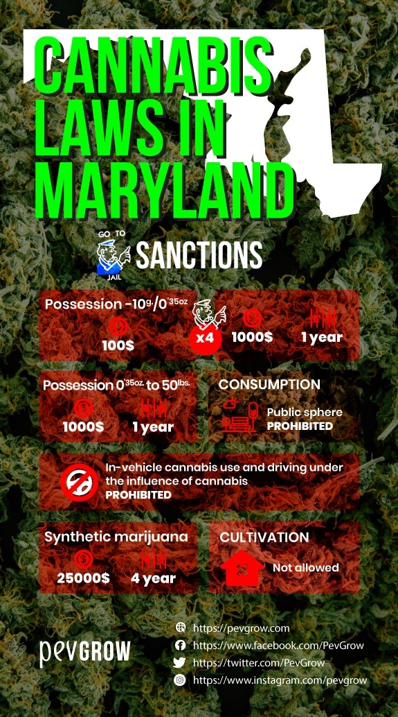 cannabis-laws-in-maryland-sanctions