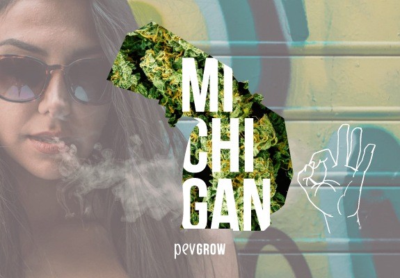 ¿Es legal la marihuana medicinal y recreativa en el estado de Michigan?