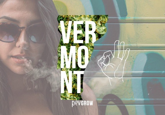 Leyes cannábicas en Vermont ¿Es legal la marihuana medicinal y recreativa en este estado?