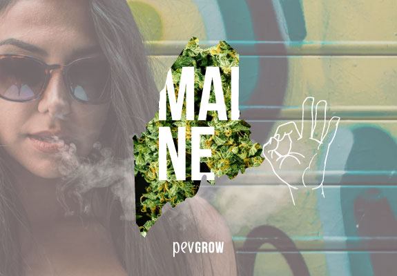 ¿Es legal la marihuana medicinal y recreativa en el estado de Maine?