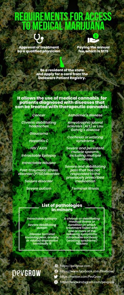 cannabis-laws-in-delaware-requirements-for-access-to-medical-marijuana-431x1024.jpg