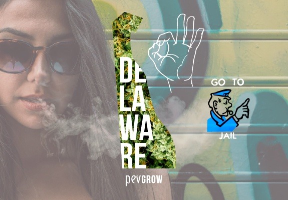 Map of Delaware with a background of marijuana plants