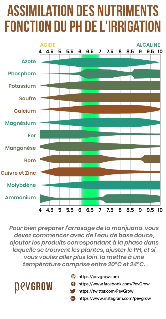 Image d'un graphique dans lequel vous pouvez voir l'assimilation des nutrimentsfonction du pH de l'irrigation *