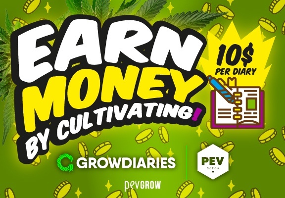 Image advertising how to win €10 by growing at growdiaries