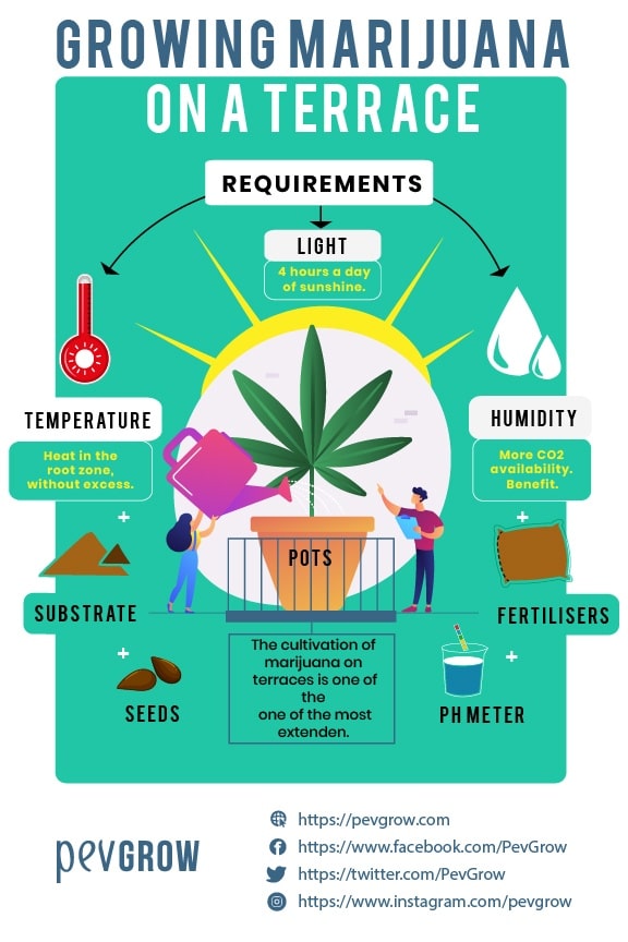 growing-marijuana-on-a-terrace-requirements