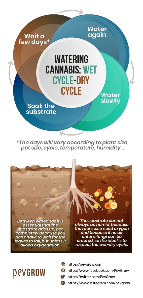 Image of the wet-dry cycle of cannabis *