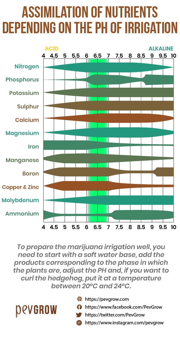 How To Adjust Water pH For Plants