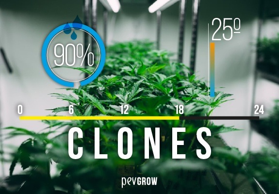 Bildzusammenfassung zur Herstellung von Klonen mit Temperatur- und anderen Daten von Interesse und einer Marihuanapflanze im Hintergrund.