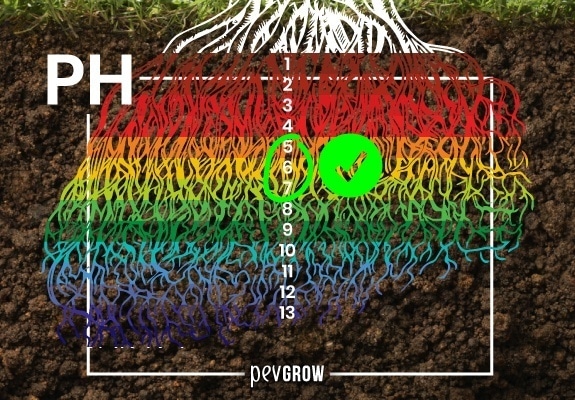 Marijuana also has its PH