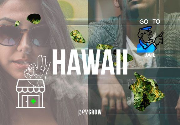 Mapa de Hawaii relleno de plantas de marihuana con un fondo de un hombre encarcelado