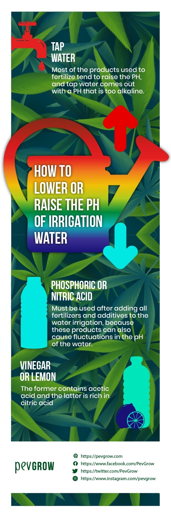 Infographic summarising how to lower or raise the pH of irrigation water.
