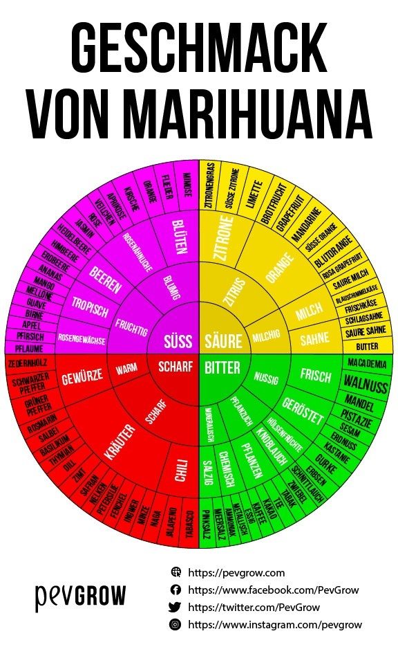 Rad der Marihuana-Geschmacksrichtungen