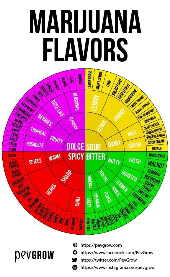 Wheel of marijuana flavours