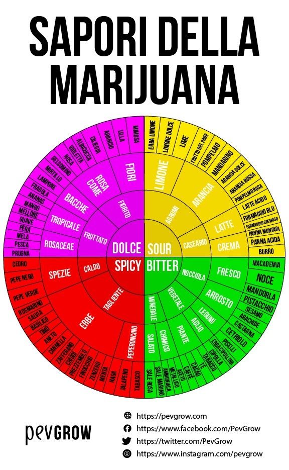 Ruota dei sapori di marijuana