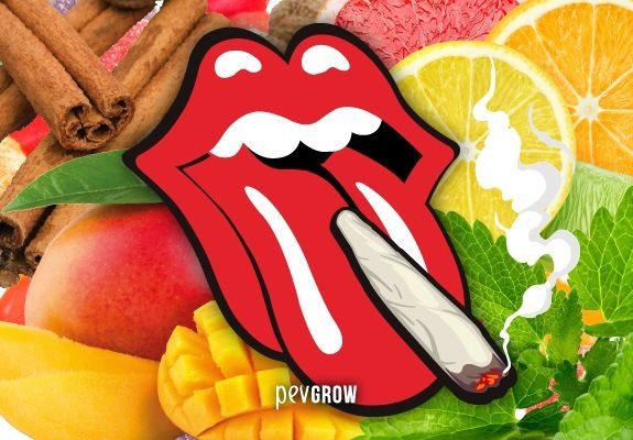 Immagine di una bocca con uno spinello sulla lingua e sullo sfondo frutta ed erbe che rappresentano i sapori della marijuana.