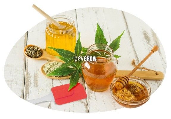 Ingredientes y materiales necesarios para preparar miel de marihuana