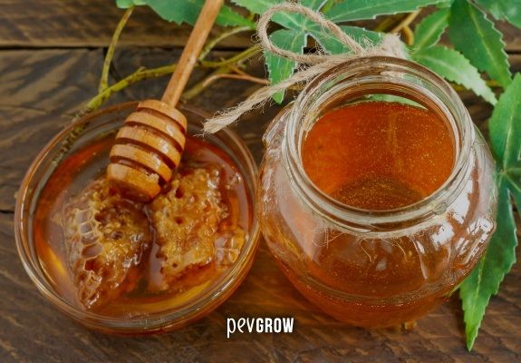 Receta fácil de miel de marihuana medicinal