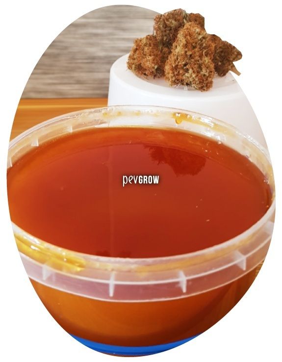 *imagen de un recipiente lleno de miel de marihuana con 3 cogollos detrás*